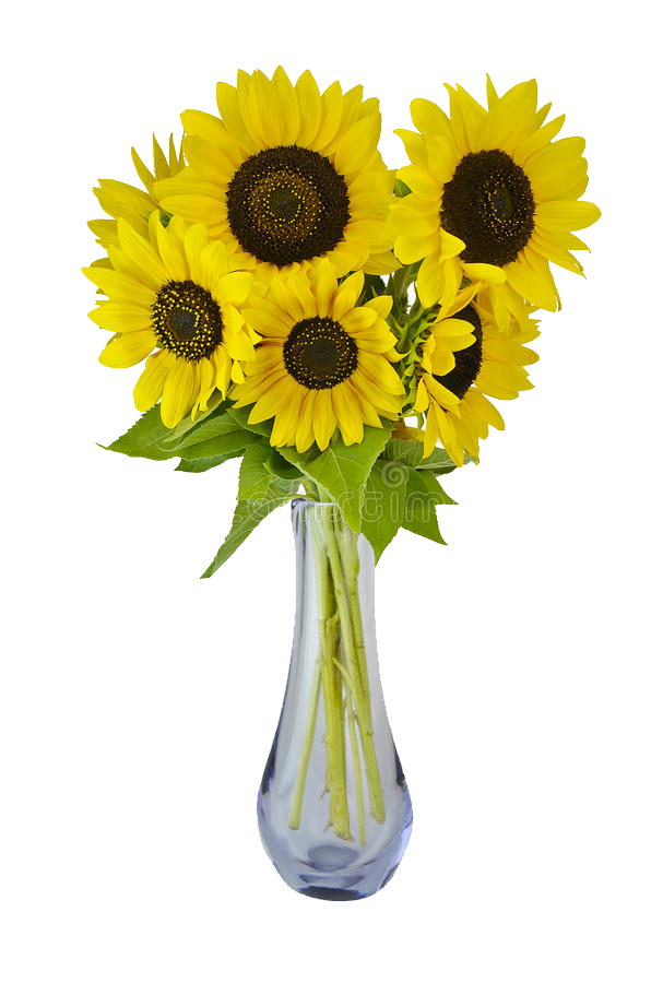 6 Pieces Sunflowers in Vase Online to Philippines